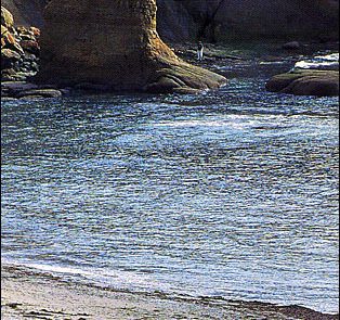 Otter Crest beach and nearby cliffs