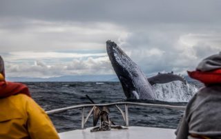 A whale watching boat tour is pictured in Depoe Bay.