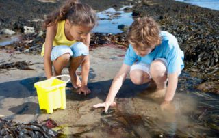 Kids play in the Otter Rock, Oregon, tide pools located near The Inn at Otter Crest.