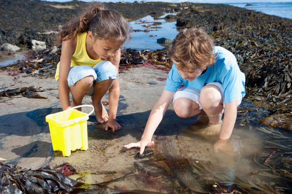 Kids play in the Otter Rock, Oregon, tide pools located near The Inn at Otter Crest.
