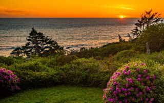 Why Otter Rock Is One of the Hidden Gems in the US