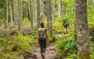 People walking in the forest and enjoying a digital detox retreat.
